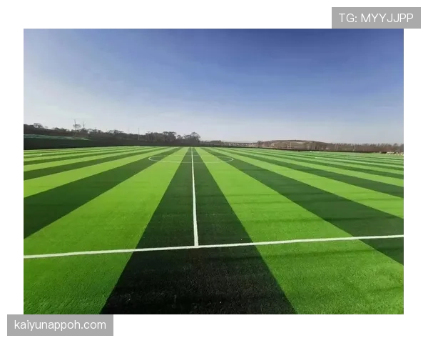 人工草场上的足球规则有哪些特别之处？规则拆解全解析